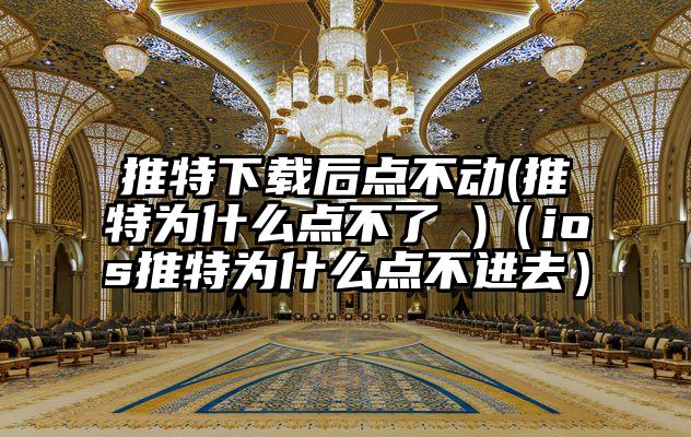 推特下载后点不动(推特为什么点不了 )（ios推特为什么点不进去）