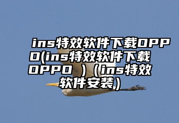 ins特效软件下载OPPO(ins特效软件下载OPPO )（ins特效软件安装）