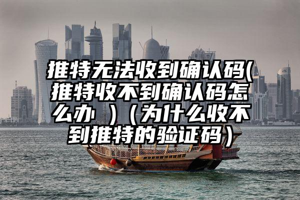 推特无法收到确认码(推特收不到确认码怎么办 )（为什么收不到推特的验证码）