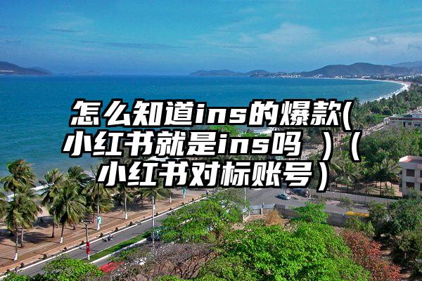 怎么知道ins的爆款(小红书就是ins吗 )（小红书对标账号）