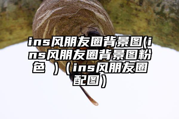 ins风朋友圈背景图(ins风朋友圈背景图粉色 )（ins风朋友圈配图）