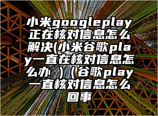 小米googleplay正在核对信息怎么解决(小米谷歌play一直在核对信息怎么办 )（谷歌play一直核对信息怎么回事