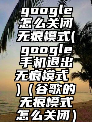 google怎么关闭无痕模式(google手机退出无痕模式 )（谷歌的无痕模式怎么关闭）