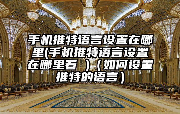 手机推特语言设置在哪里(手机推特语言设置在哪里看 )（如何设置推特的语言）