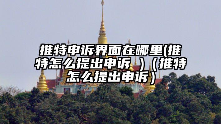 推特申诉界面在哪里(推特怎么提出申诉 )（推特怎么提出申诉）