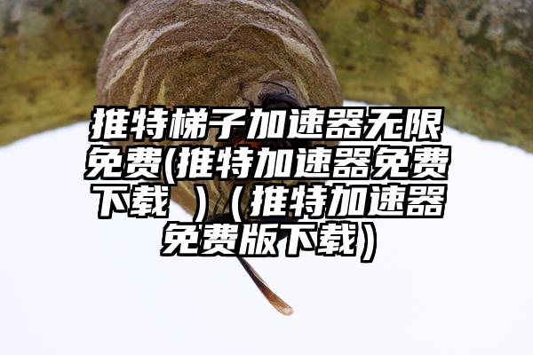 推特梯子加速器无限免费(推特加速器免费下载 )（推特加速器免费版下载）