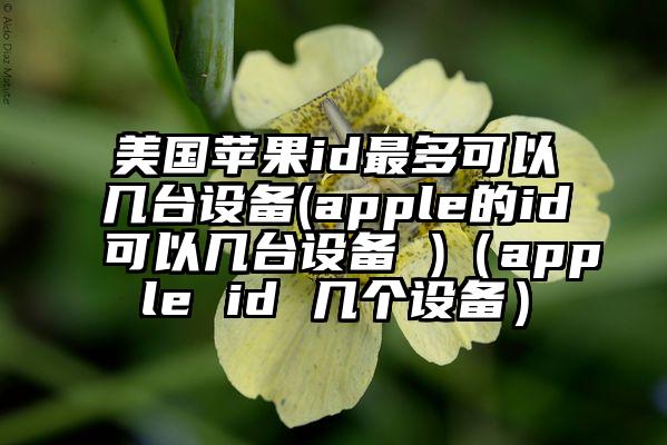 美国苹果id最多可以几台设备(apple的id可以几台设备 )（apple id 几个设备）