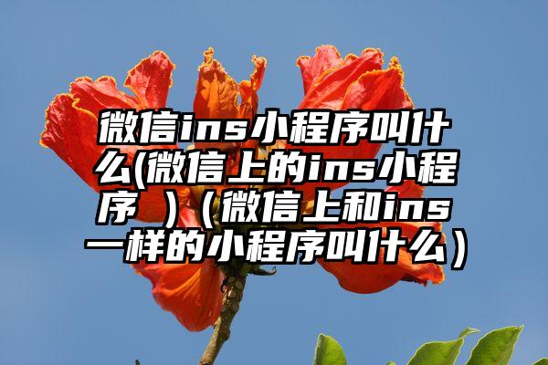 微信ins小程序叫什么(微信上的ins小程序 )（微信上和ins一样的小程序叫什么）