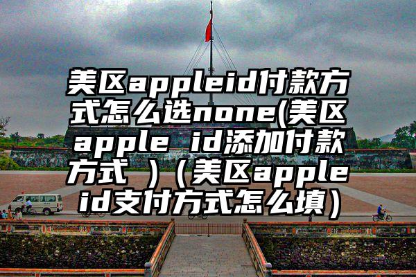 美区appleid付款方式怎么选none(美区apple id添加付款方式 )（美区appleid支付方式怎么填）