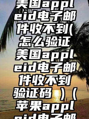 怎么验证美国appleid电子邮件收不到(怎么验证美国appleid电子邮件收不到验证码 )（苹果appleid电子邮件