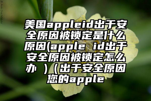 美国appleid出于安全原因被锁定是什么原因(apple id出于安全原因被锁定怎么办 )（出于安全原因您的apple