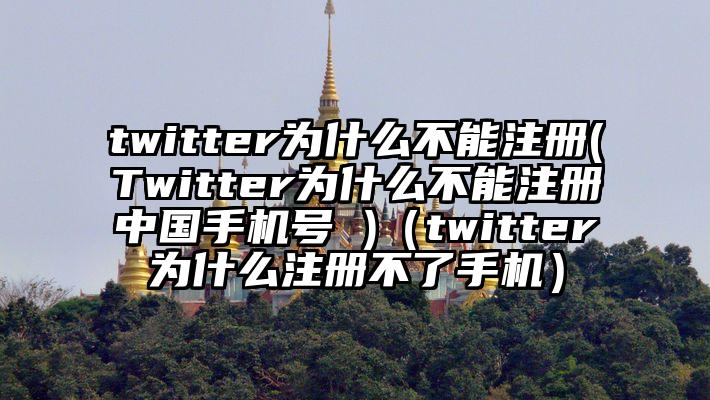 twitter为什么不能注册(Twitter为什么不能注册中国手机号 )（twitter为什么注册不了手机）