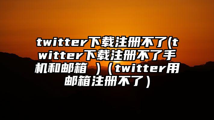 twitter下载注册不了(twitter下载注册不了手机和邮箱 )（twitter用邮箱注册不了）