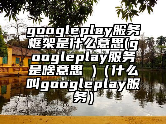 googleplay服务框架是什么意思(googleplay服务是啥意思 )（什么叫googleplay服务）