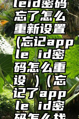 美国appleid密码忘了怎么重新设置(忘记apple id密码怎么重设 )（忘记了apple id密码怎么找回）