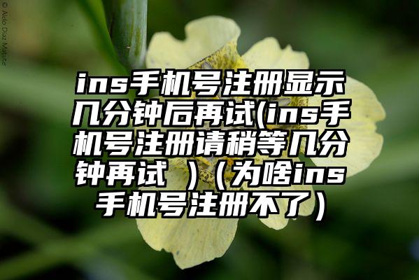 ins手机号注册显示几分钟后再试(ins手机号注册请稍等几分钟再试 )（为啥ins手机号注册不了）