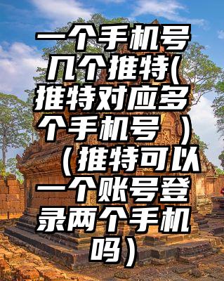 一个手机号几个推特(推特对应多个手机号 )（推特可以一个账号登录两个手机吗）