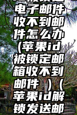 美国苹果id被锁定电子邮件收不到邮件怎么办(苹果id被锁定邮箱收不到邮件 )（苹果id解锁发送邮件为什么收不到）