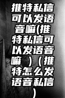 推特私信可以发语音嘛(推特私信可以发语音嘛 )（推特怎么发语音私信）