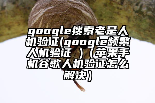 google搜索老是人机验证(google频繁人机验证 )（苹果手机谷歌人机验证怎么解决）
