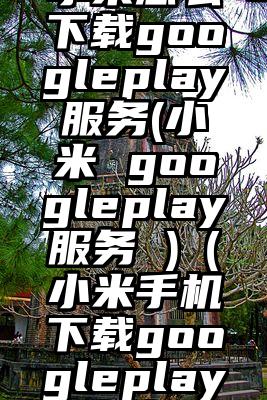 小米怎么下载googleplay服务(小米 googleplay服务 )（小米手机下载googleplay商店）