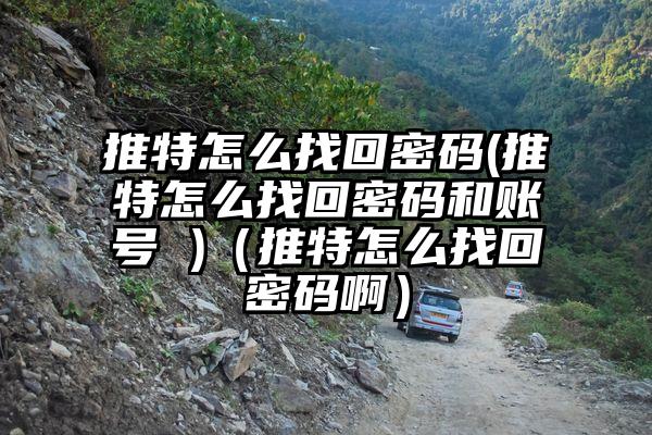 推特怎么找回密码(推特怎么找回密码和账号 )（推特怎么找回密码啊）
