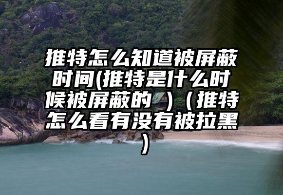 推特怎么知道被屏蔽时间(推特是什么时候被屏蔽的 )（推特怎么看有没有被拉黑）