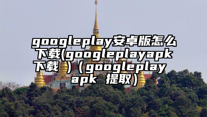 googleplay安卓版怎么下载(googleplayapk下载 )（googleplay apk 提取）