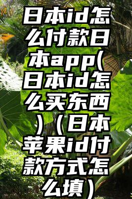 日本id怎么付款日本app(日本id怎么买东西 )（日本苹果id付款方式怎么填）