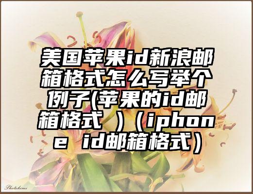 美国苹果id新浪邮箱格式怎么写举个例子(苹果的id邮箱格式 )（iphone id邮箱格式）