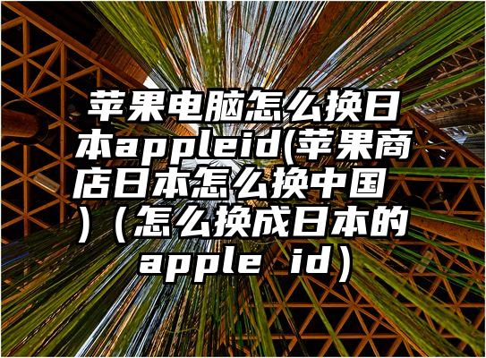 苹果电脑怎么换日本appleid(苹果商店日本怎么换中国 )（怎么换成日本的apple id）