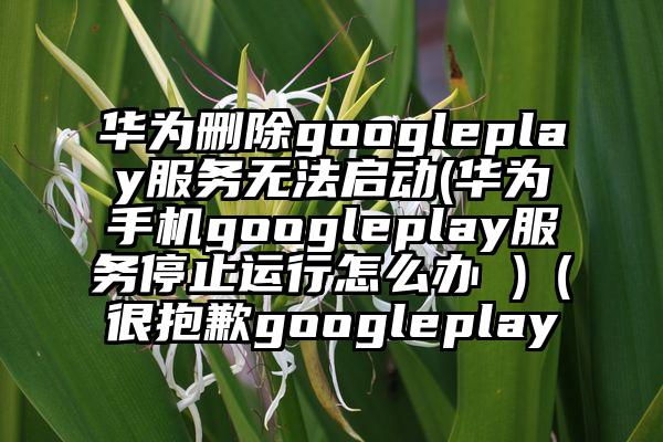 华为删除googleplay服务无法启动(华为手机googleplay服务停止运行怎么办 )（很抱歉googleplay