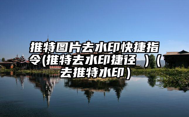 推特图片去水印快捷指令(推特去水印捷径 )（去推特水印）