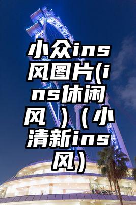 小众ins风图片(ins休闲风 )(小清新ins风)