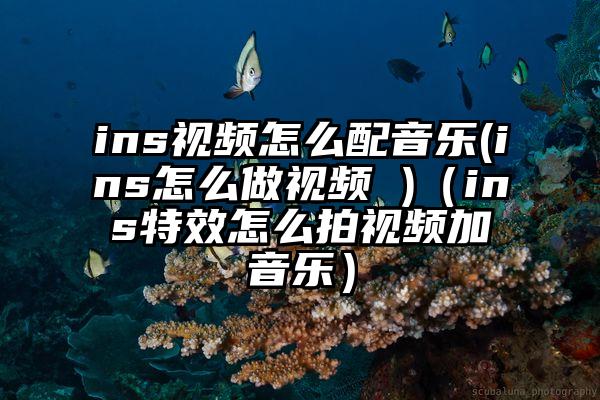 ins视频怎么配音乐(ins怎么做视频 )（ins特效怎么拍视频加音乐）