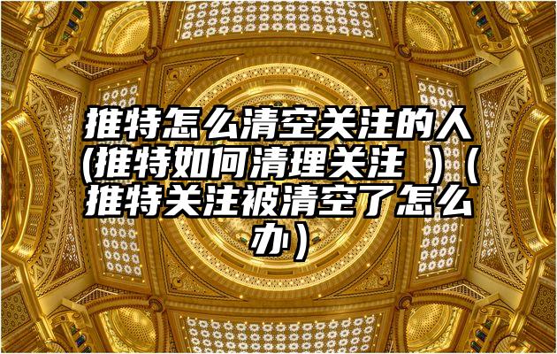 推特怎么清空关注的人(推特如何清理关注 )（推特关注被清空了怎么办）