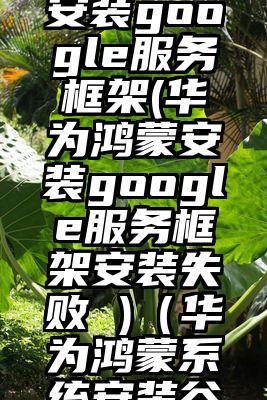 华为鸿蒙安装google服务框架(华为鸿蒙安装google服务框架安装失败 )（华为鸿蒙系统安装谷歌教程）
