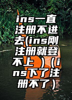 ins一直注册不进去(ins刚注册就登不上 )（ins下了注册不了）