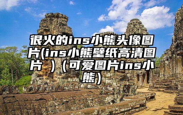 很火的ins小熊头像图片(ins小熊壁纸高清图片 )（可爱图片ins小熊）