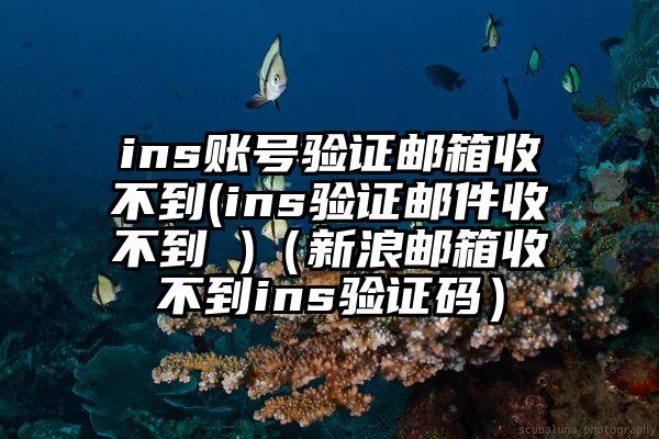 ins账号验证邮箱收不到(ins验证邮件收不到 )（新浪邮箱收不到ins验证码）
