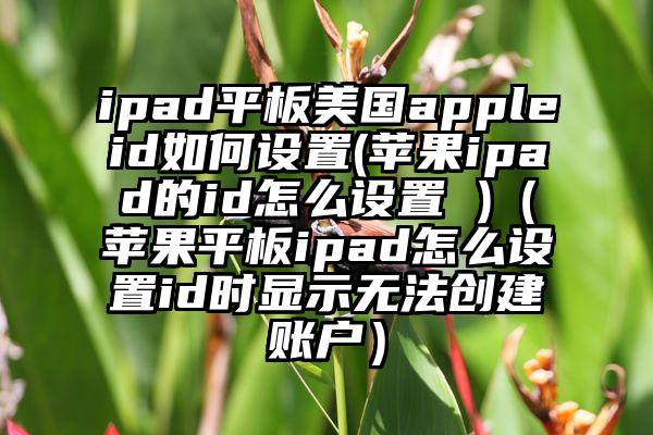 ipad平板美国appleid如何设置(苹果ipad的id怎么设置 )（苹果平板ipad怎么设置id时显示无法创建账户）