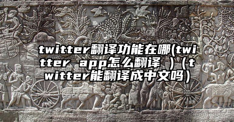 twitter翻译功能在哪(twitter app怎么翻译 )（twitter能翻译成中文吗）
