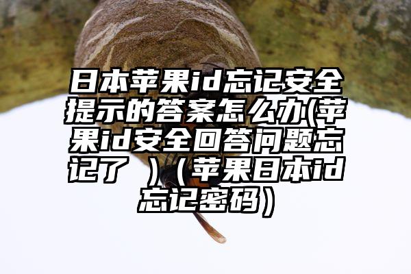 日本苹果id忘记安全提示的答案怎么办(苹果id安全回答问题忘记了 )（苹果日本id忘记密码）