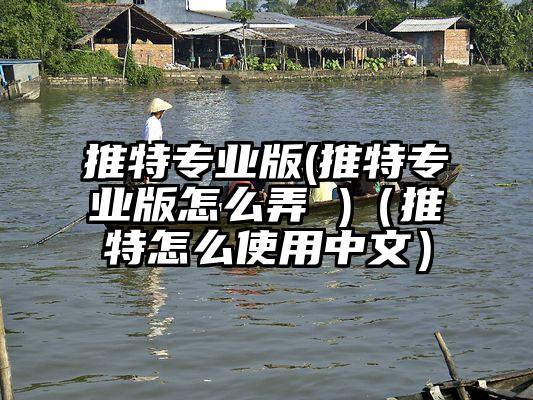 推特专业版(推特专业版怎么弄 )(推特怎么使用中文)