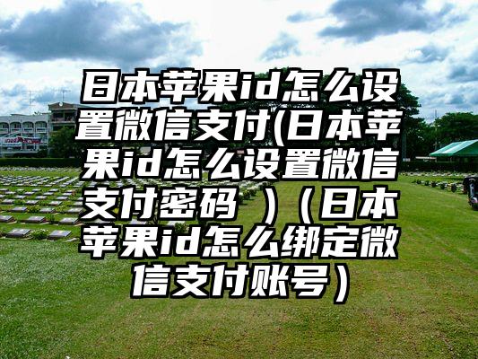日本苹果id怎么设置微信支付(日本苹果id怎么设置微信支付密码 )（日本苹果id怎么绑定微信支付账号）
