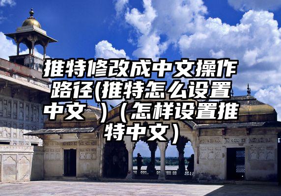 推特修改成中文操作路径(推特怎么设置中文 )（怎样设置推特中文）