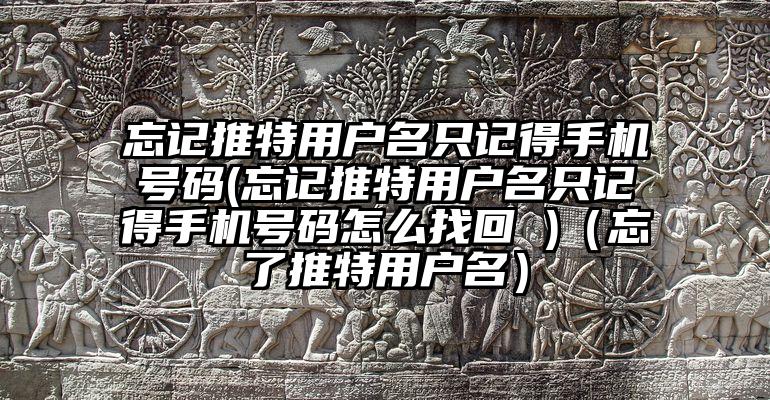 忘记推特用户名只记得手机号码(忘记推特用户名只记得手机号码怎么找回 )(忘了推特用户名)