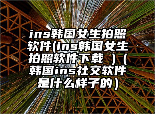 ins韩国女生拍照软件(ins韩国女生拍照软件下载 )（韩国ins社交软件是什么样子的）