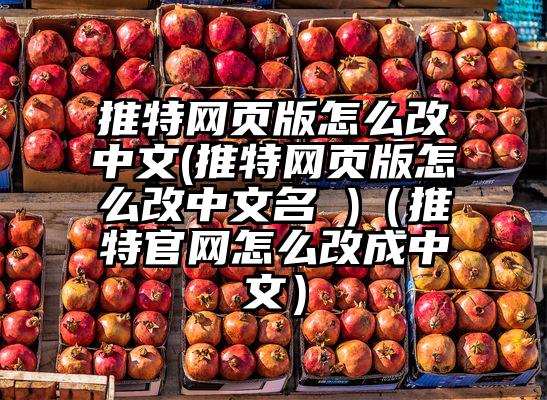 推特网页版怎么改中文(推特网页版怎么改中文名 )（推特官网怎么改成中文）