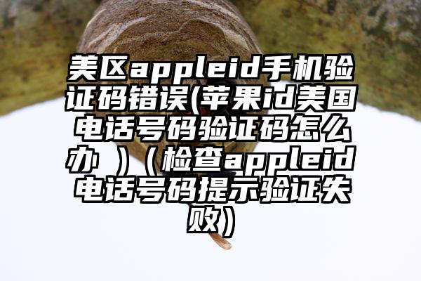 美区appleid手机验证码错误(苹果id美国电话号码验证码怎么办 )（检查appleid电话号码提示验证失败）
